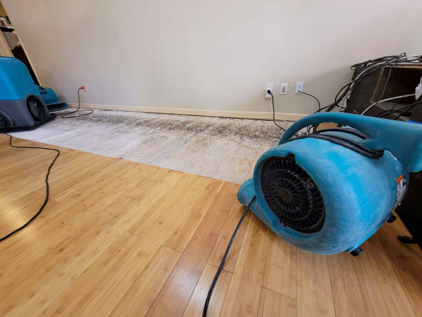 Professional Flood Damage Cleanup technician working in Eagle Creek, OR